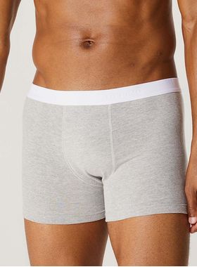 Cueca Boxer Hering 77L2 Masculina Algodão T. P/XXG