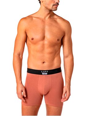 Cueca Boxer Lupo 18430-001 Masculina Algodão Com Elastano T. P/GG