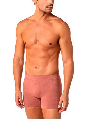 Cueca Boxer Lupo 18511-001 Masculina Sem Costura Microfibra T. P/GG