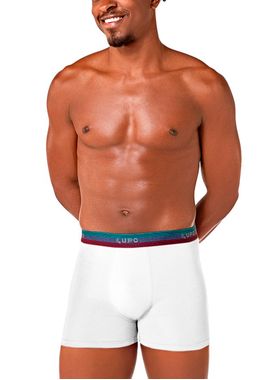 Cueca Boxer Lupo 00784-060 Masculina Algodão Com Elastano T. P/GG