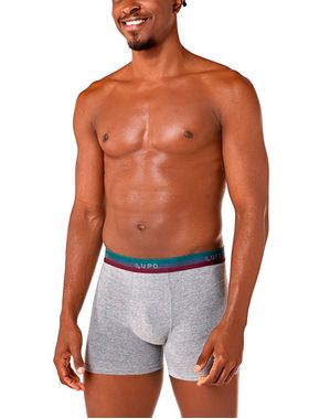 Cueca Boxer Lupo 00784-060 Masculina Algodão Com Elastano T. P/GG