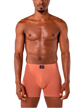 Cueca Boxer Lupo 18431-001 Masculina Comfy Algodão T. P/GG